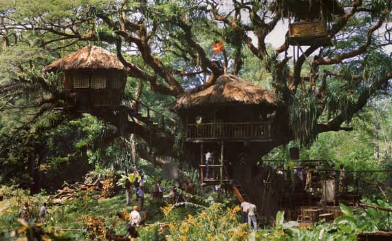 D o  vient le bois de suar  Maison Saman